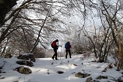 34 e il bosco si veste di bianco anche sulle piante !